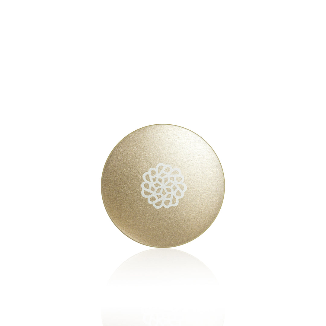 BRUSH SOAP WITH REMOVABLE SCRUBBING PAD